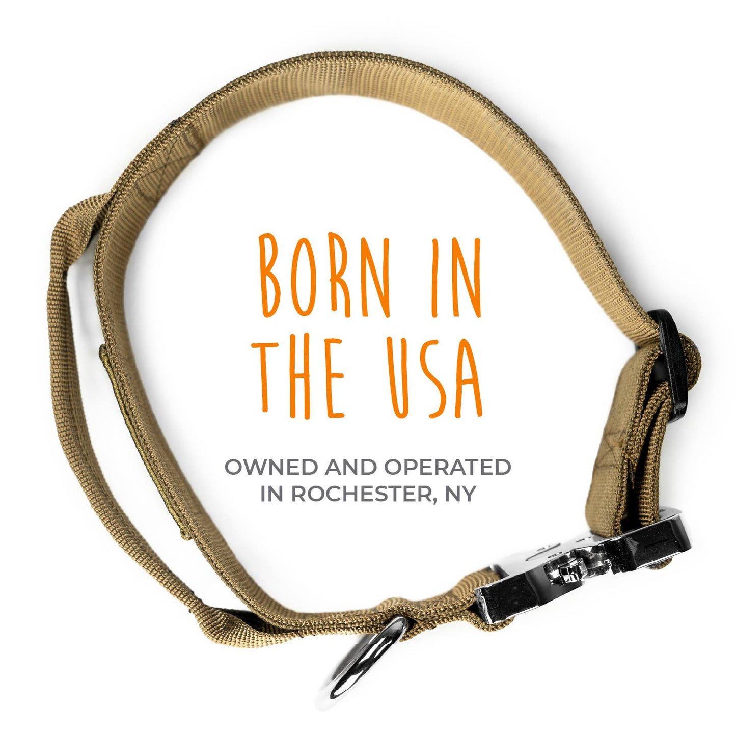 ๐ก๏ธ Mighty Paw Tactical Dog Collar โ Heavy-Duty Control for Powerful Pups ๐พ