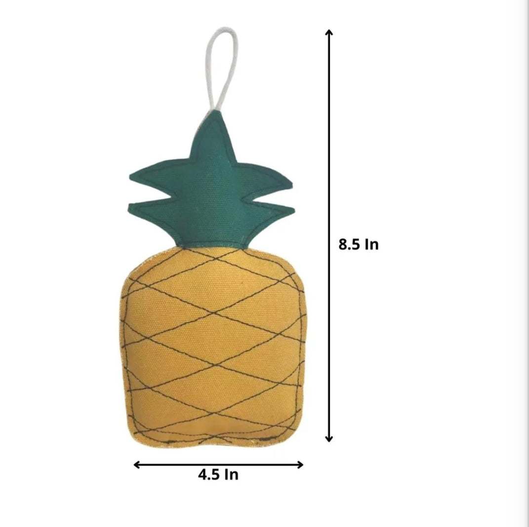 Eco-Friendly Pineapple