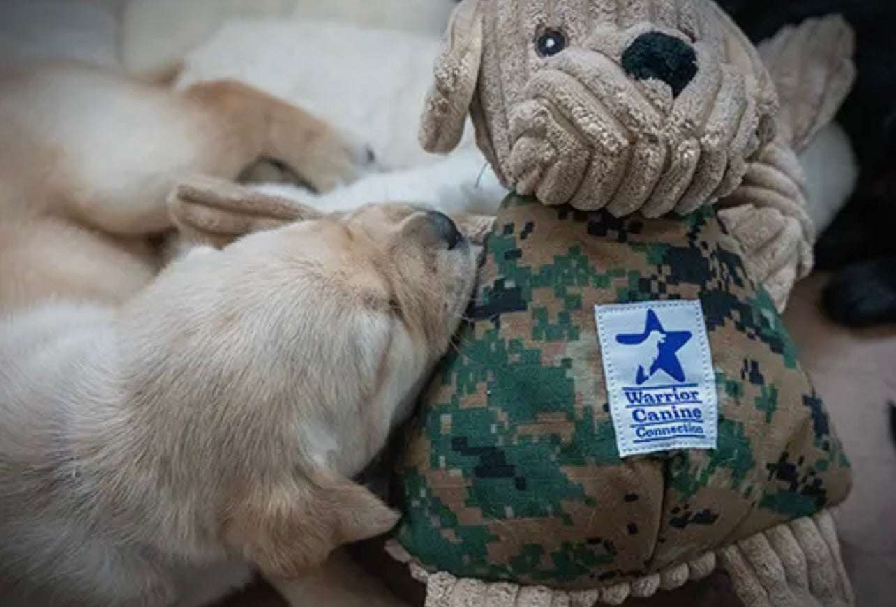 🐶🐾 Warrior Canine Connection, Lab Knottie® Plush Dog Toy