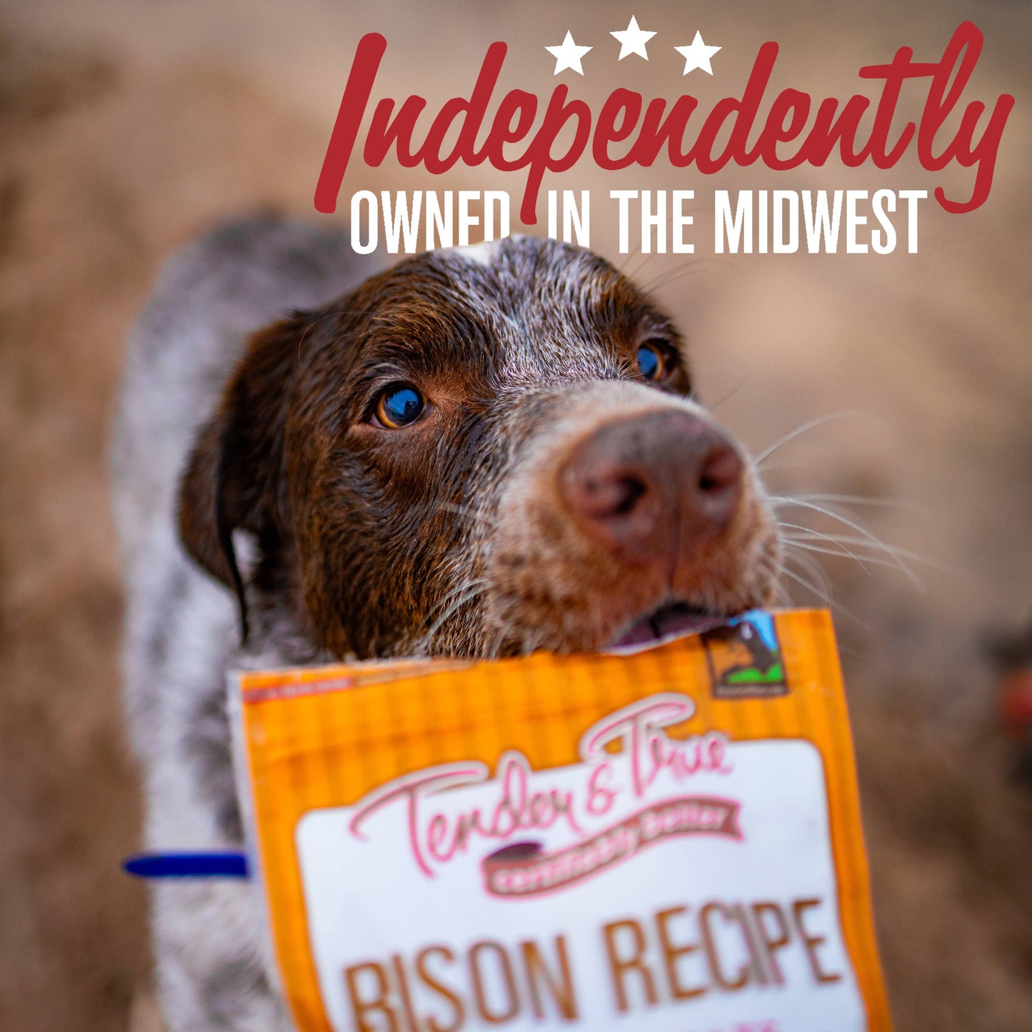 Bison Recipe Jerky