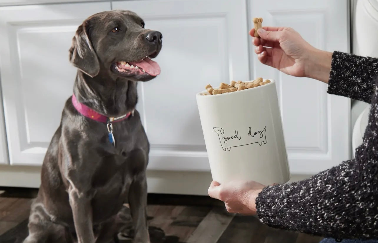 Ceramic Treat Jar