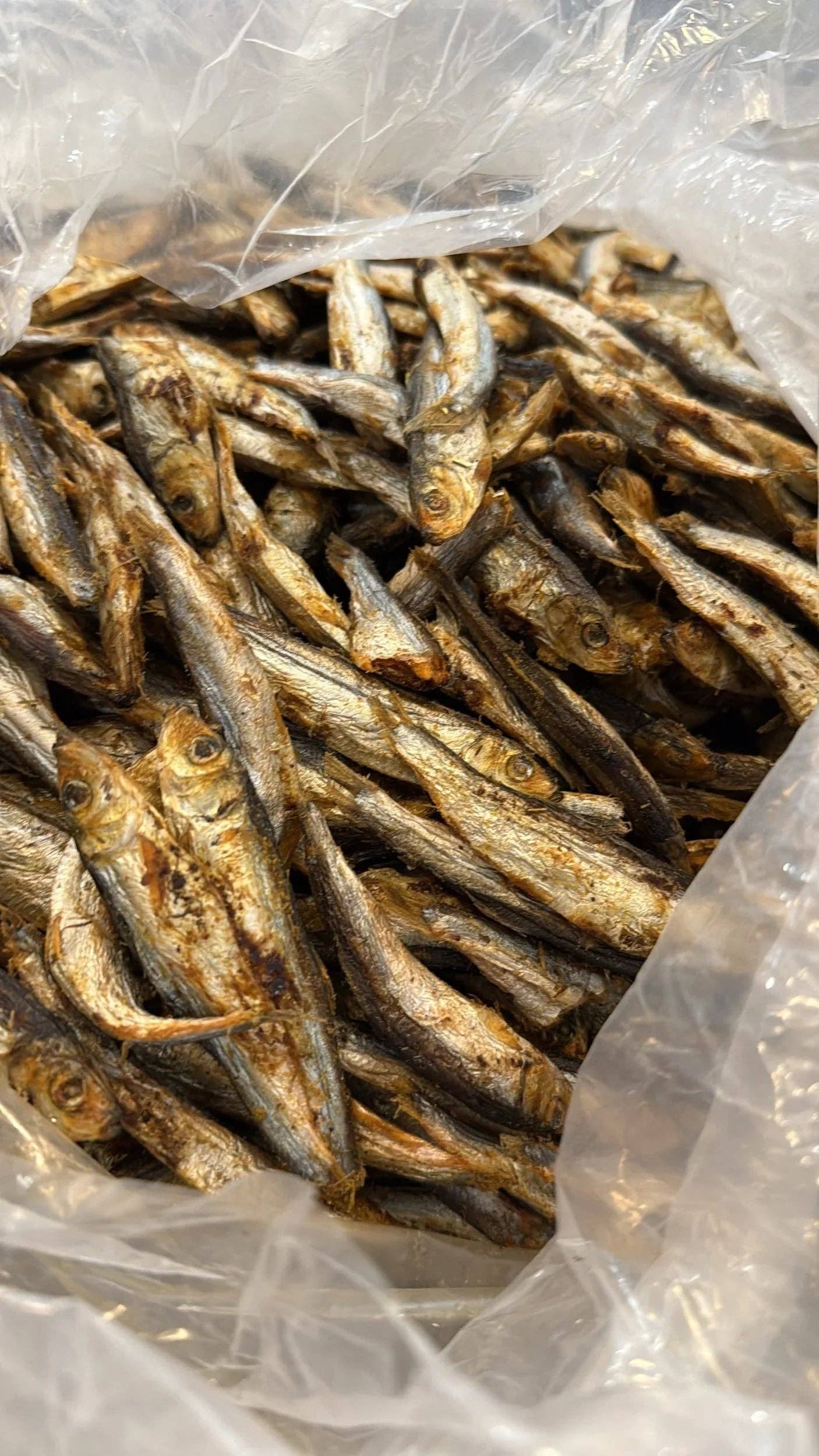 Sardine – Freeze-Dried Treats