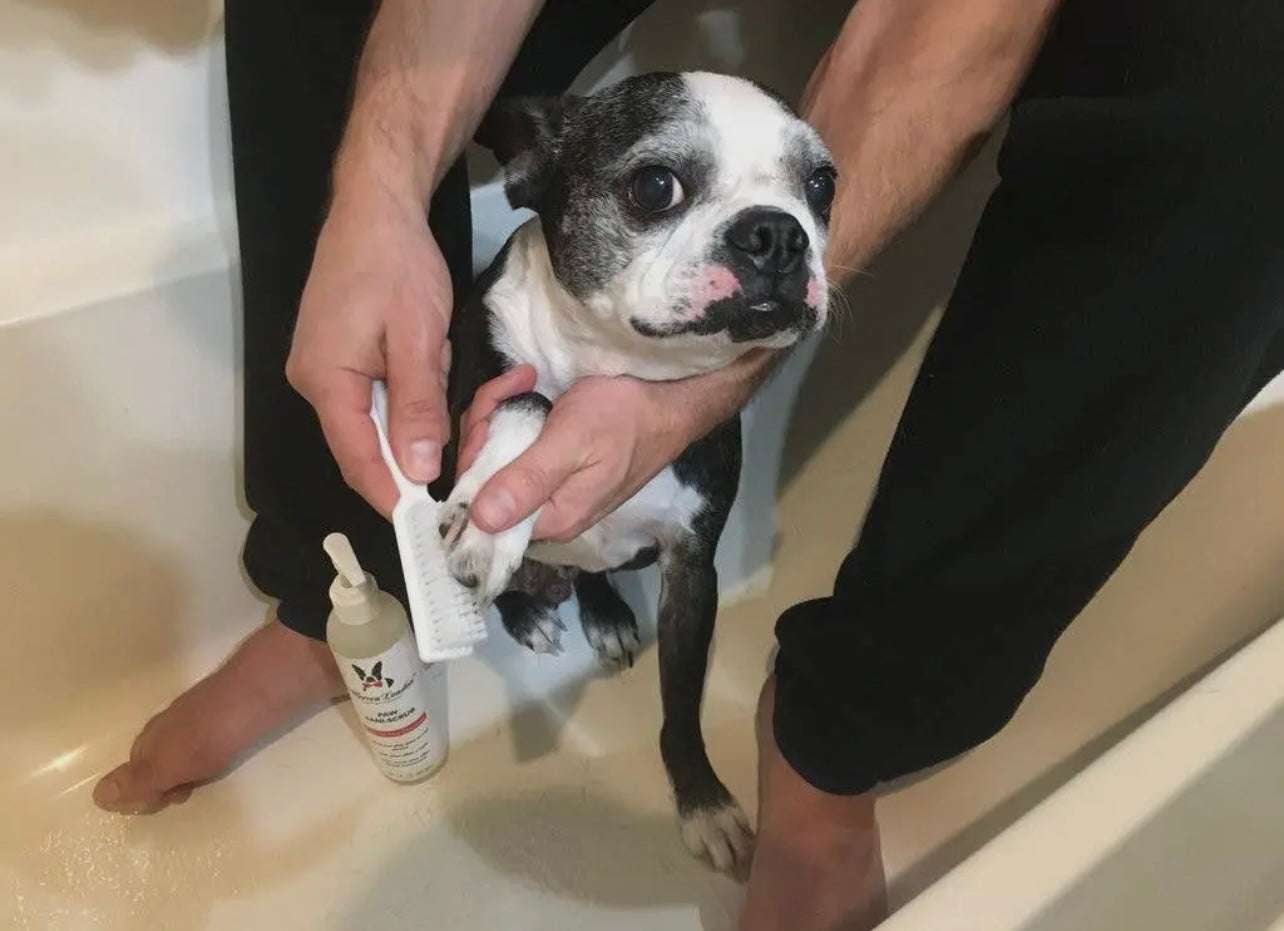🐾🧼 Paw Sani-Scrub – Deep Cleaning Paw Cleanser & Scrub Brush System 🐶✨