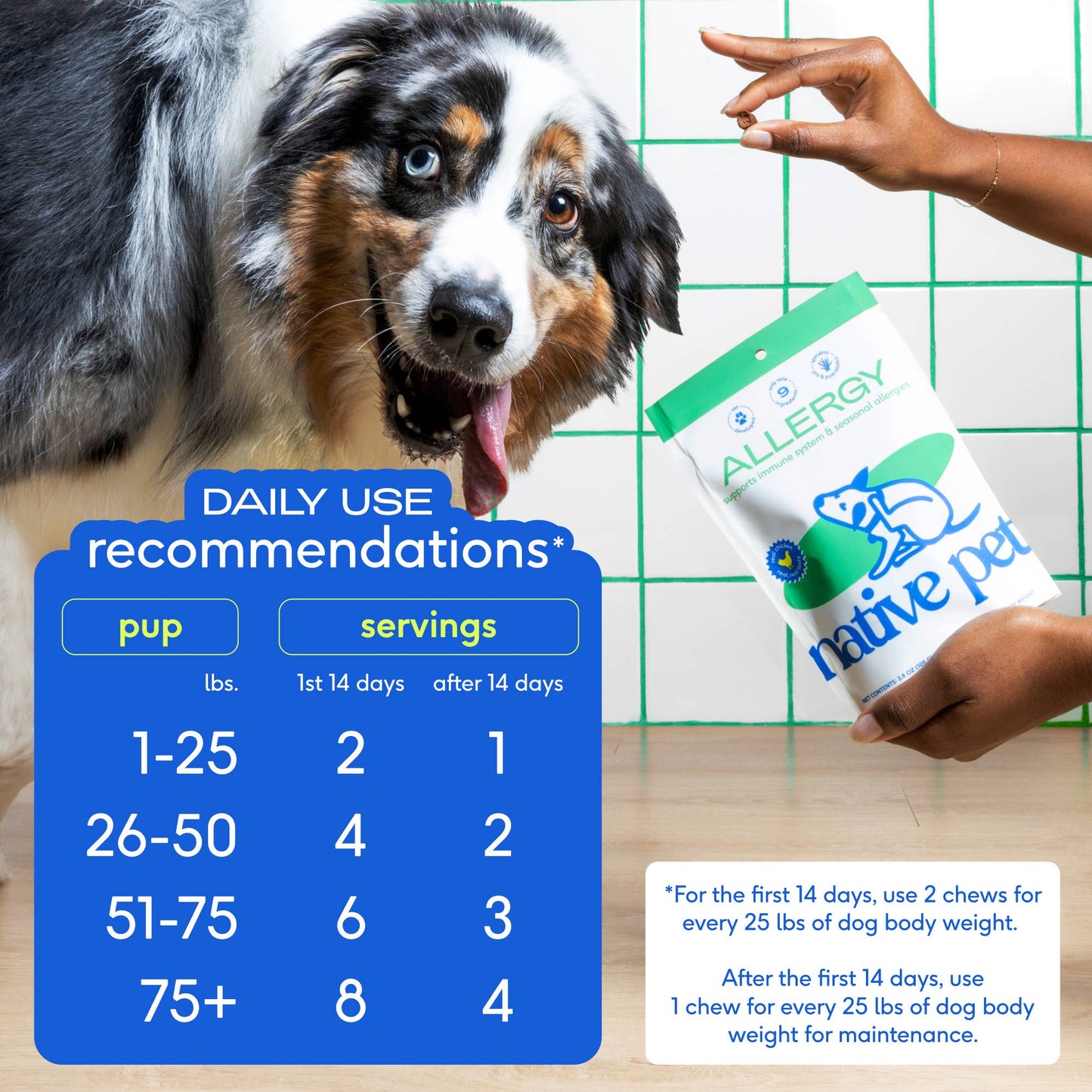 Allergy & Immune Chews