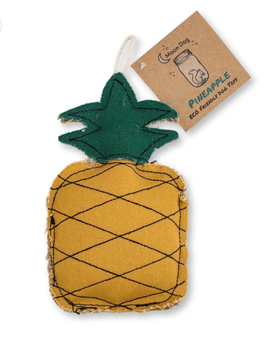 Eco-Friendly Pineapple