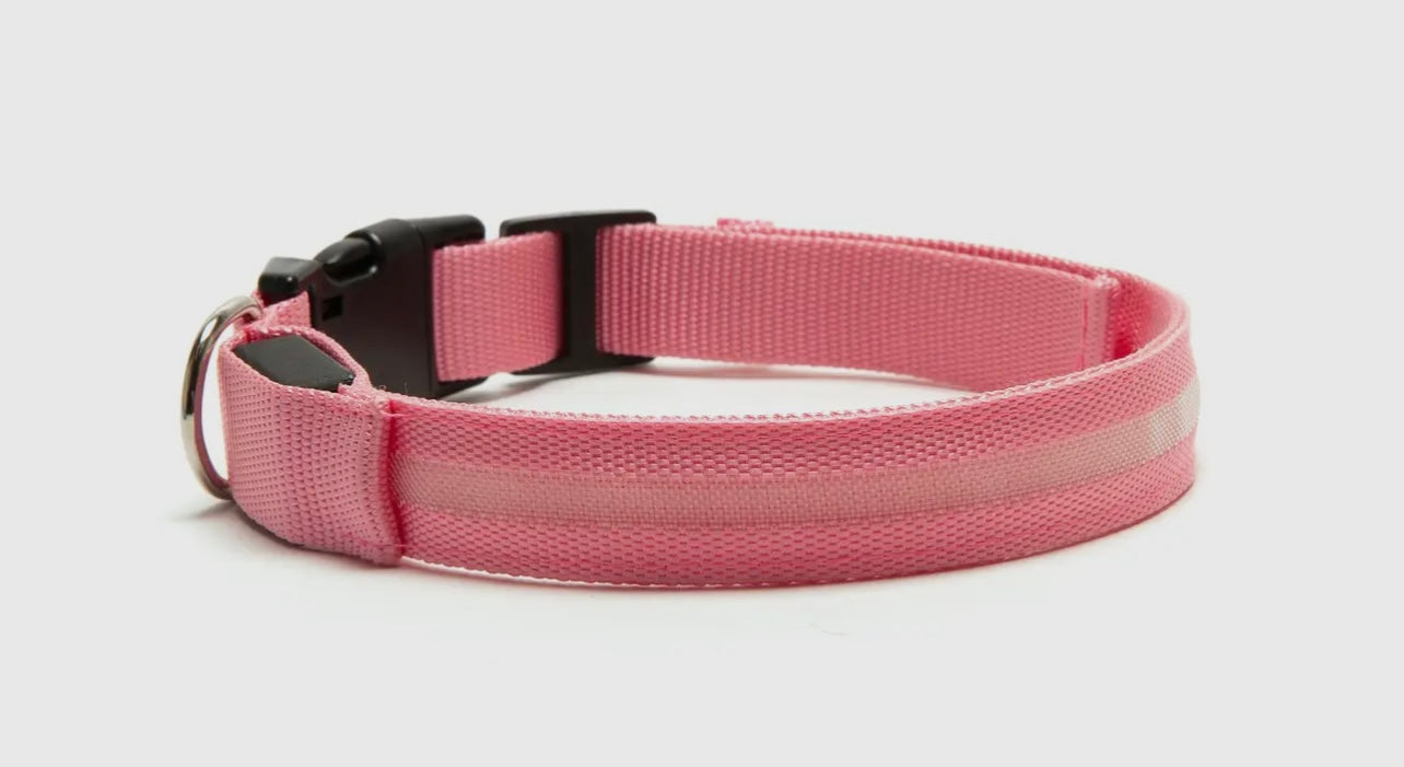 Led Safety Light-Up Dog Collar