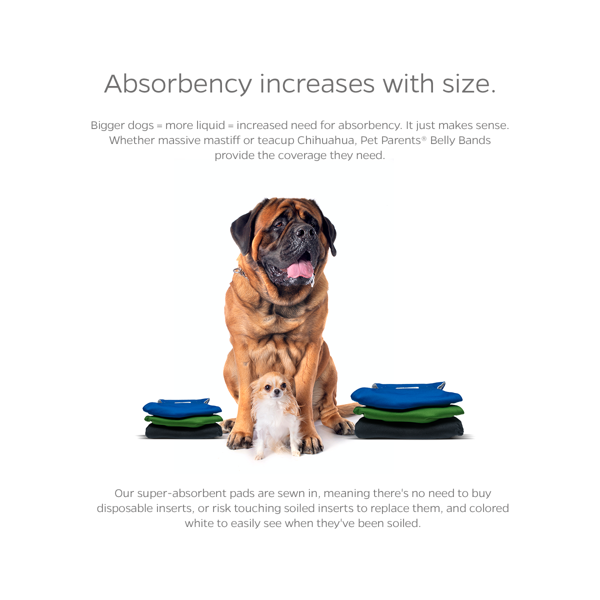 Washable Dog Belly Bands