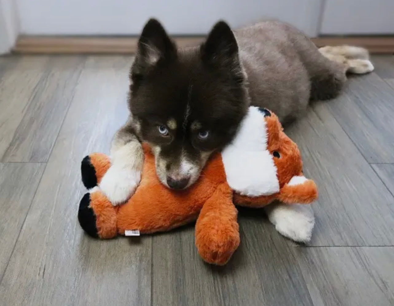 Dog Star Felicia the Fox Plush Dog Toy