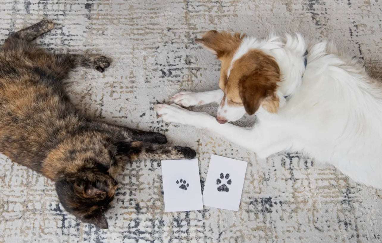 Pet Pawprint Clean-Touch Ink Pad