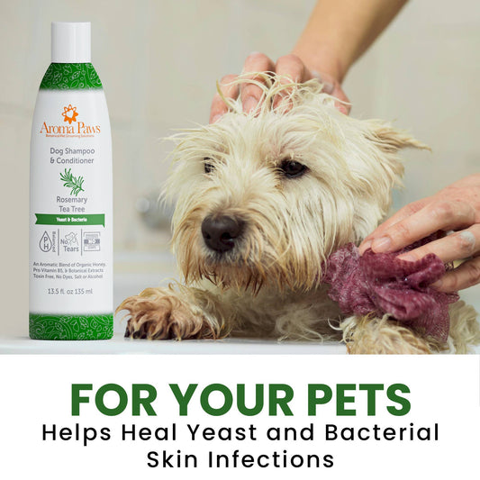 Rosemary Tea Tree Shampoo