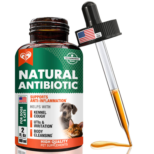 Herbal Antibiotics for Cats & Dogs