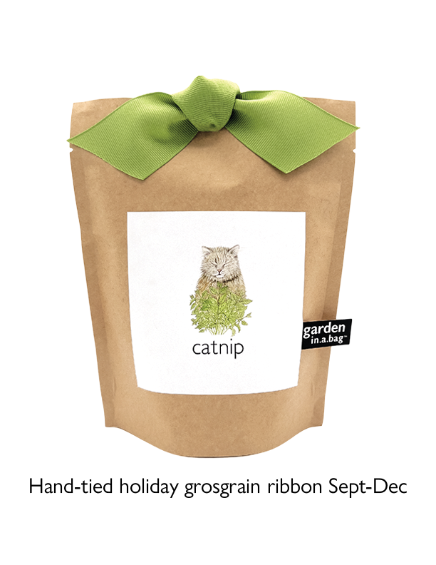 🐱🌱Garden in a Bag | Catnip | Spring Pet Treat Gift