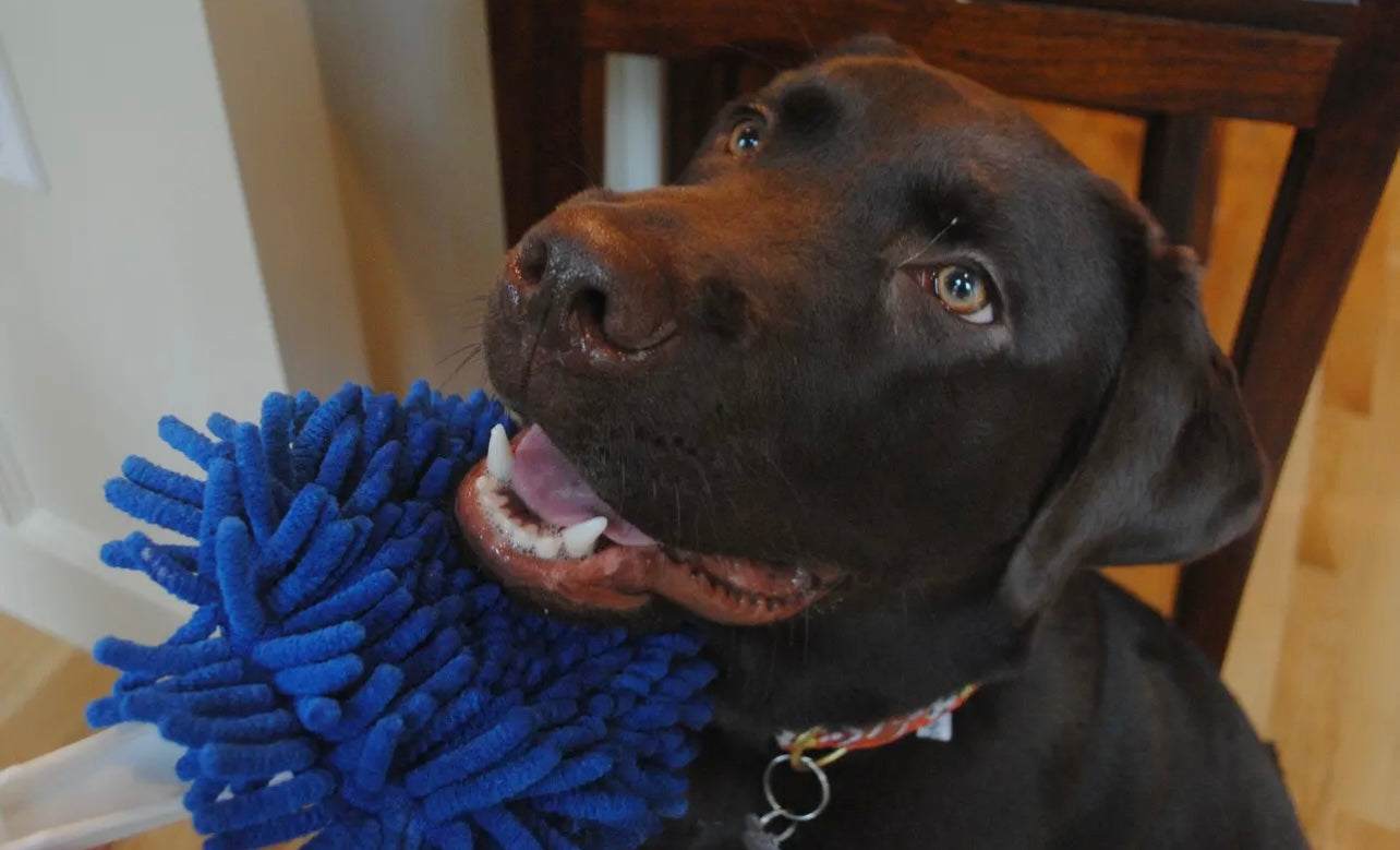 Soggy Doggy Slobber Swabber
