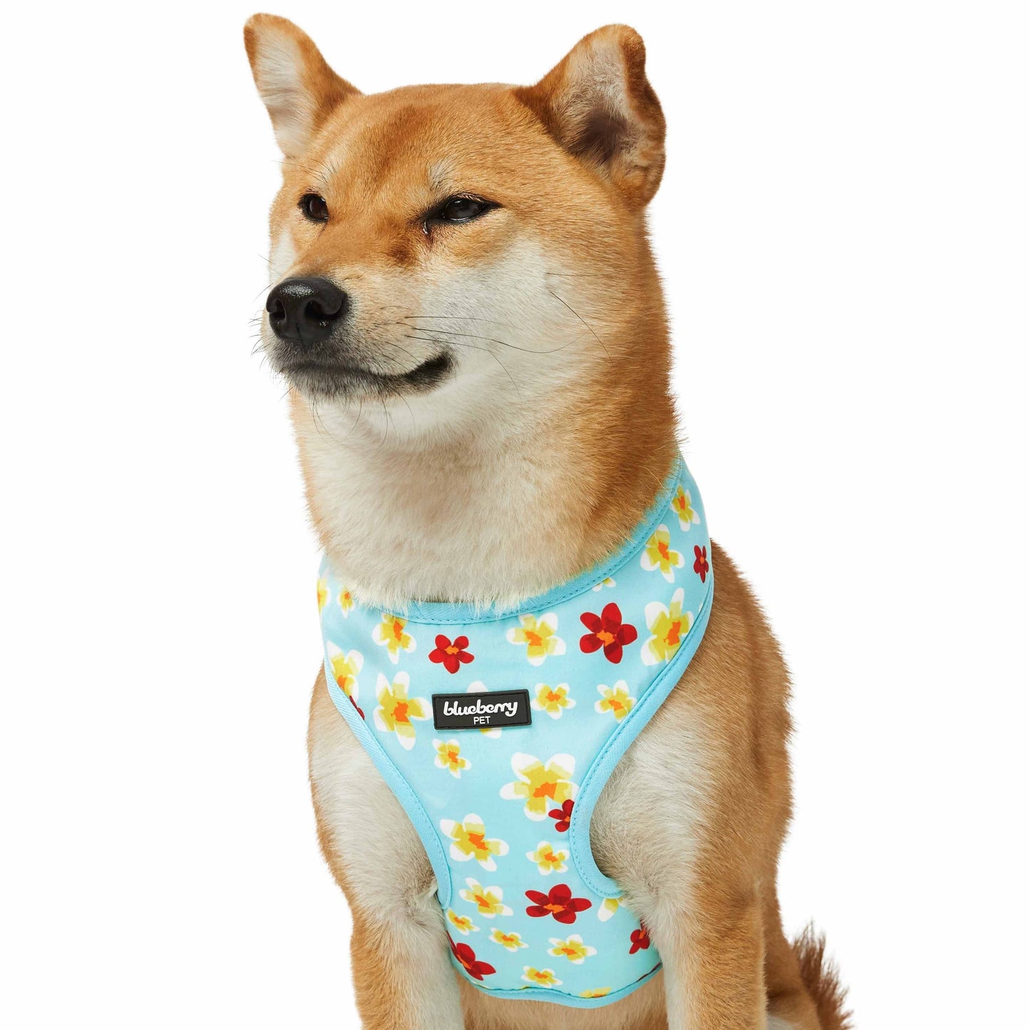 2 Colors, Tropical Yellow Plumeria Flower Dog Harness Vest