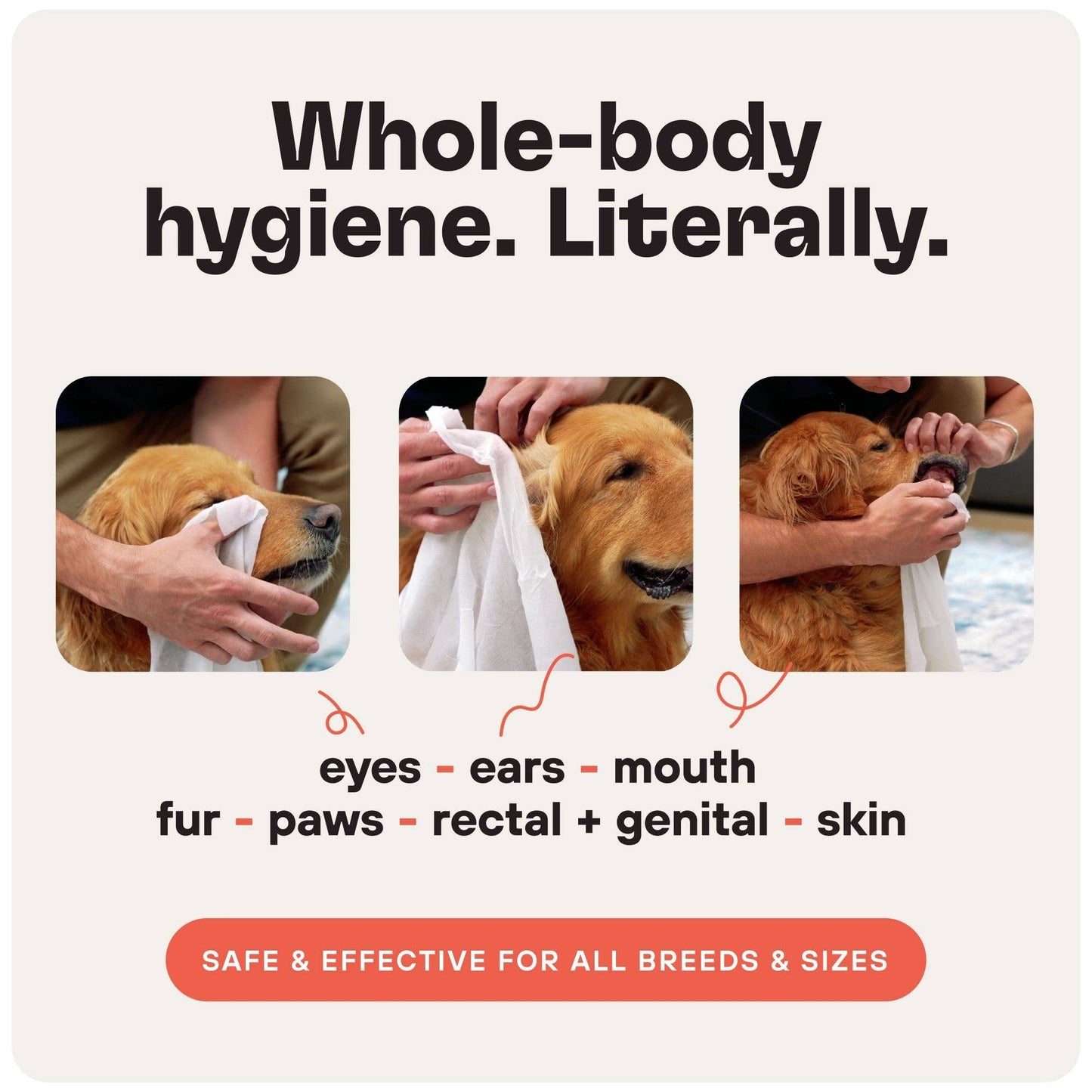 Body Health & Pet Hygiene Wipes