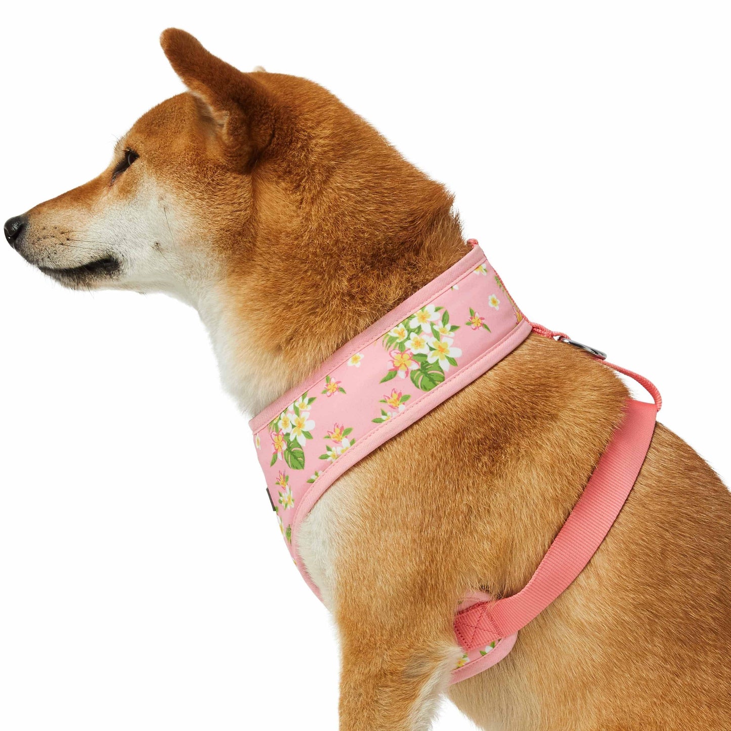 2 Colors, Tropical Yellow Plumeria Flower Dog Harness Vest