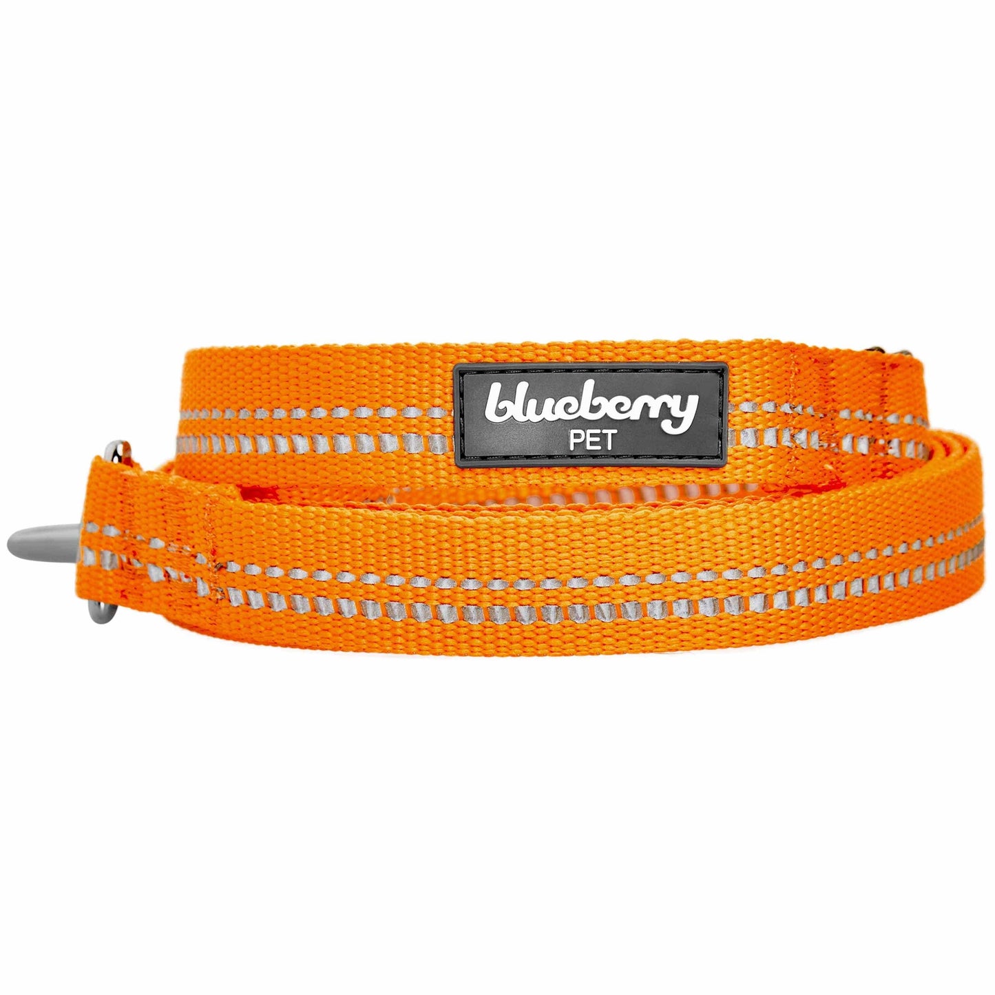 🌸 Spring Colors Reflective Soft Padded Safety Dog Leash