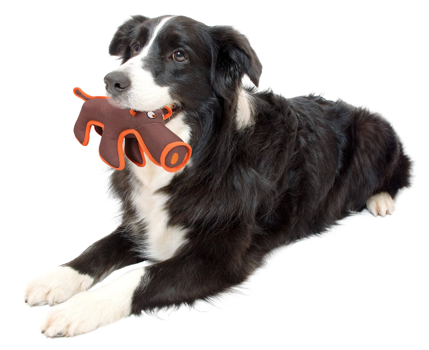🐕🔥Animal Water Resistant Plush Toy