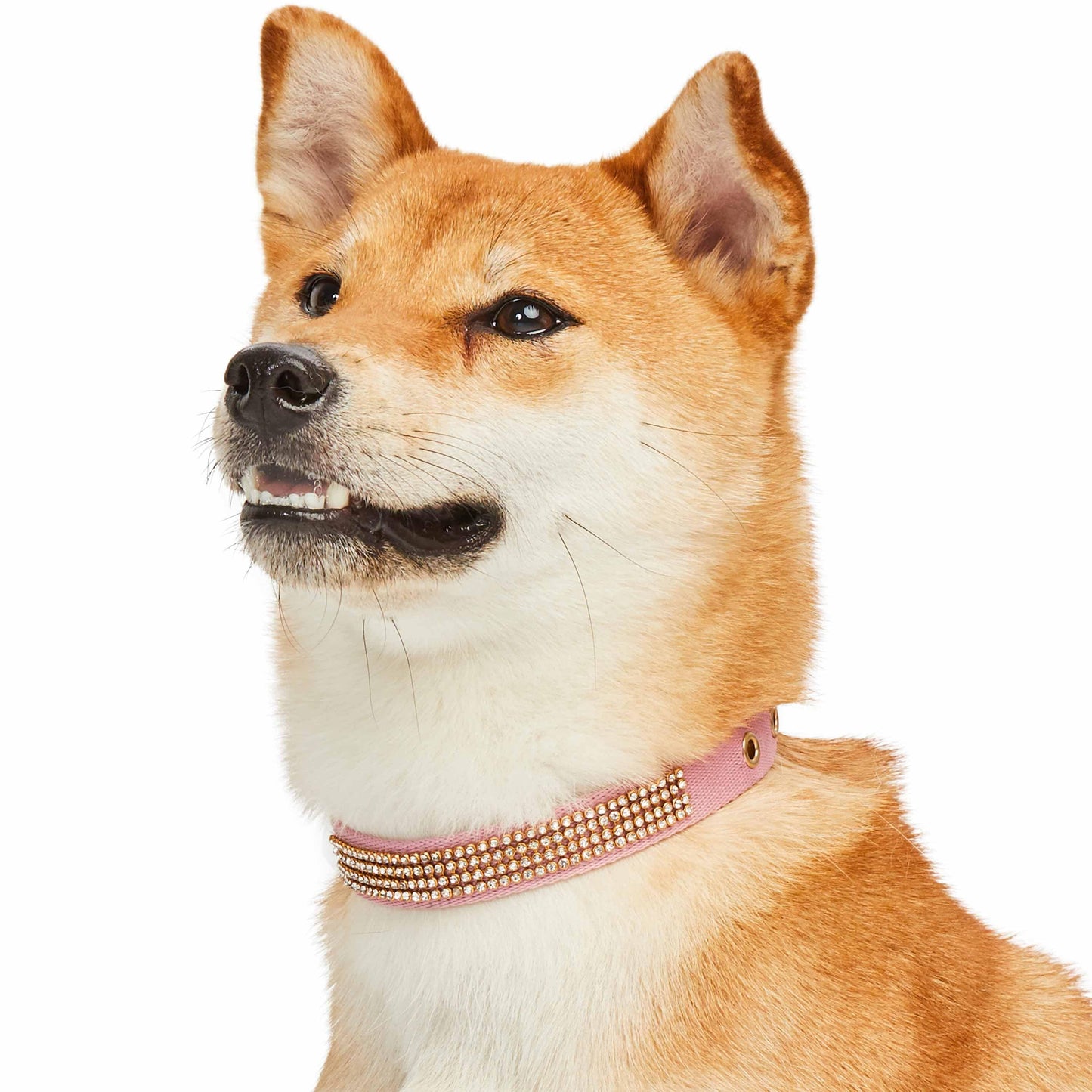 4 Colors, Bling Crystal Rhinestone Dog Collars
