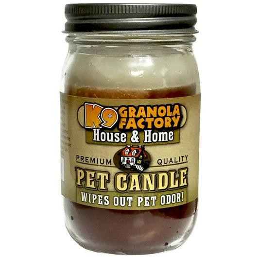 Iced Cinnamon Bun Pet Odor Eliminator Candle, 16-oz