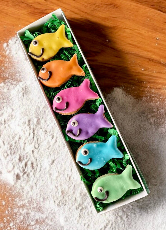 Here Fishy Fishy Gift Box