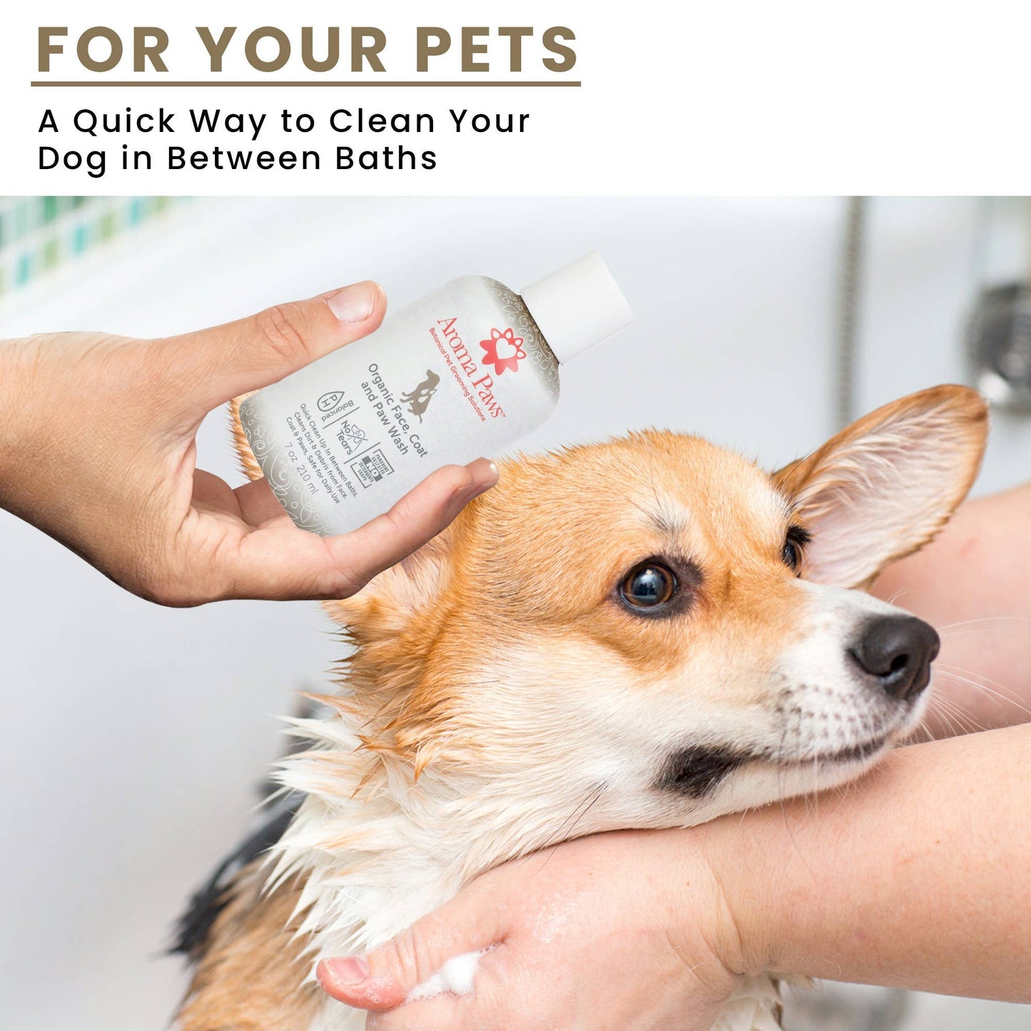 Organic Face, Coat & Paw Wash
