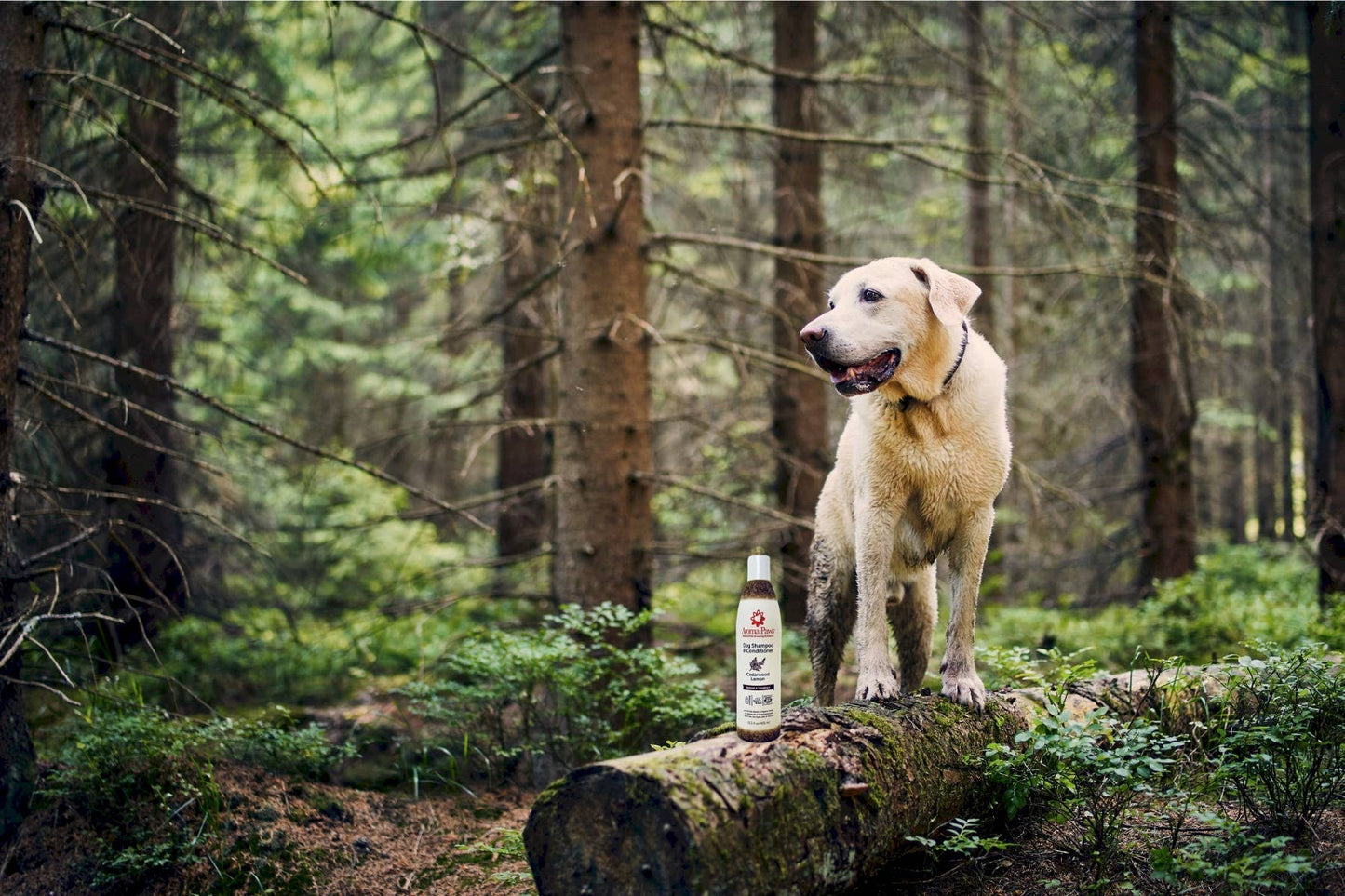 Cedarwood Lemon Dog Shampoo & Conditioner - Gallon