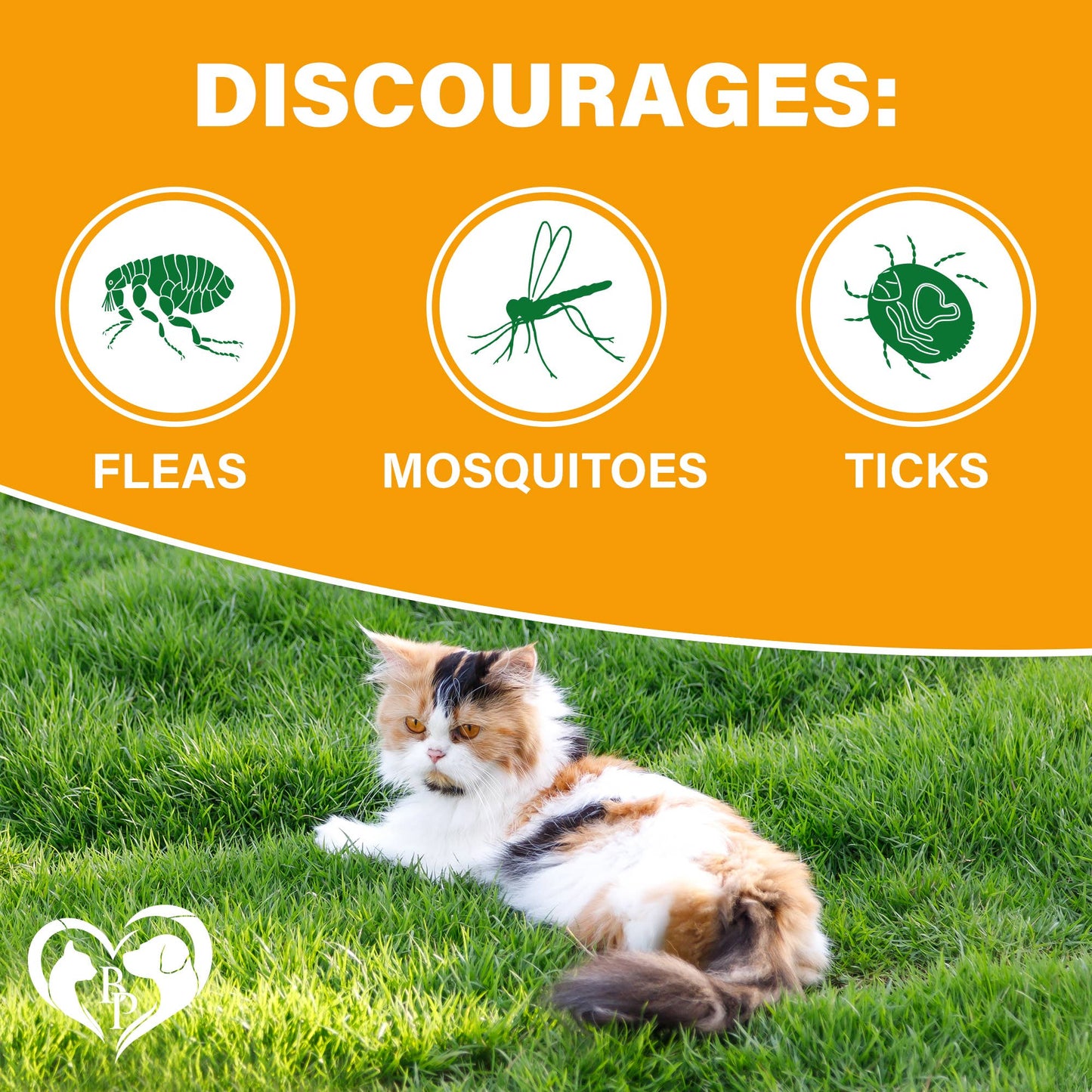 Flea & Tick Prevention - Cats