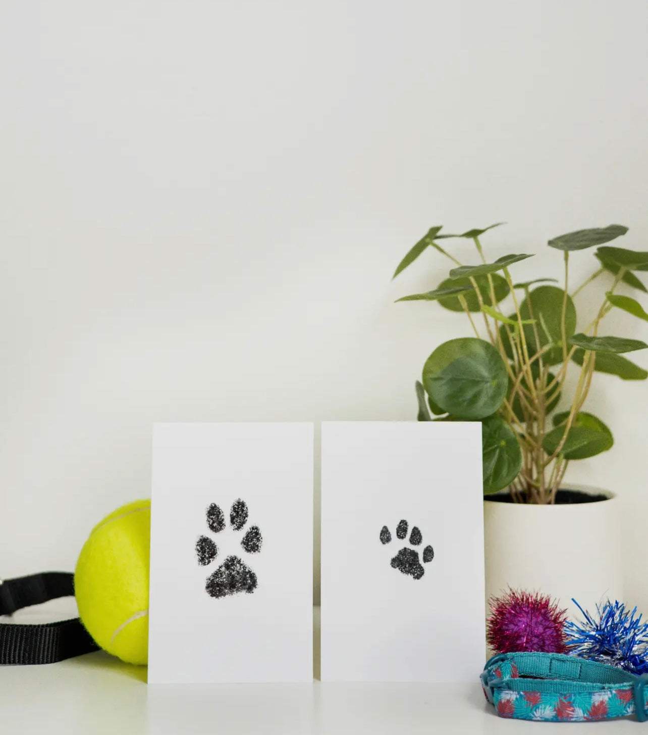 Pet Pawprint Clean-Touch Ink Pad