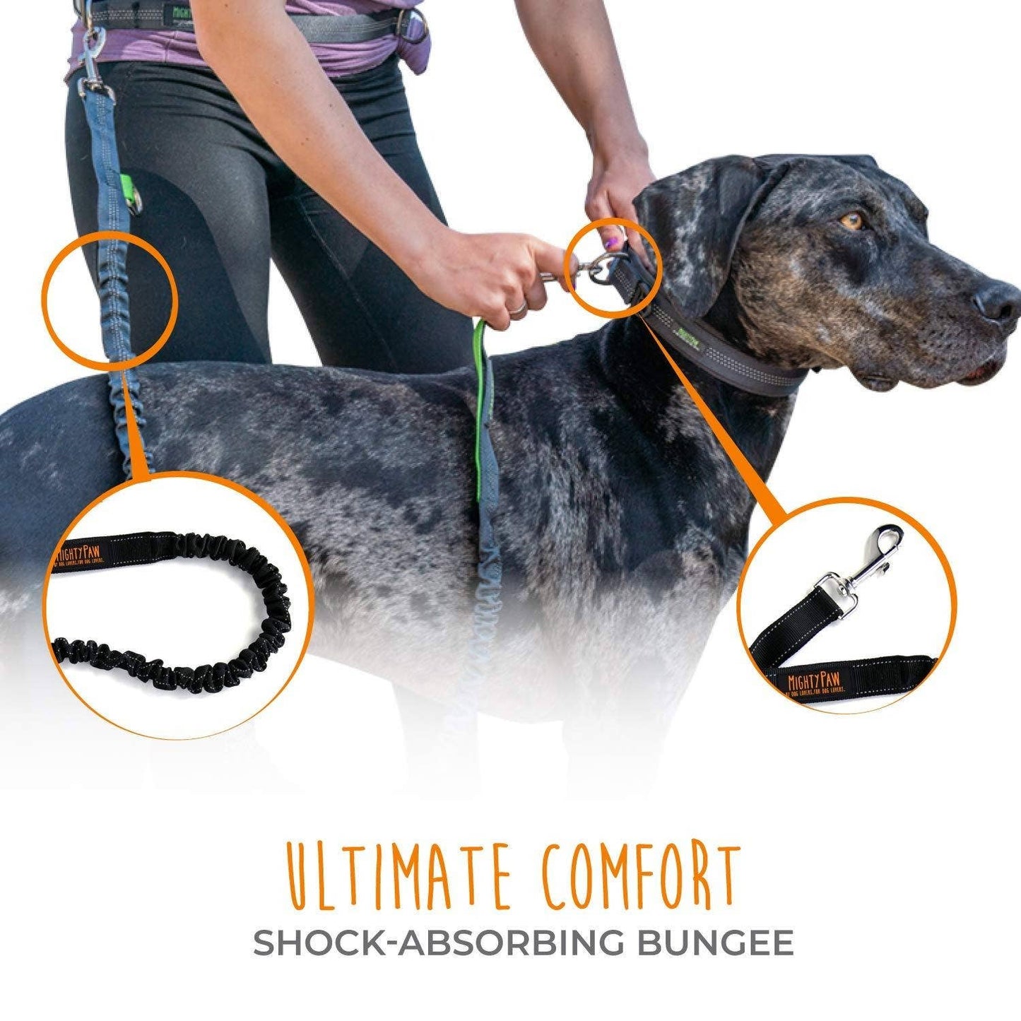 🏃♂️ Mighty Paw Bungee Hands-Free Dog Leash – Run, Walk & Explore Together 🐾