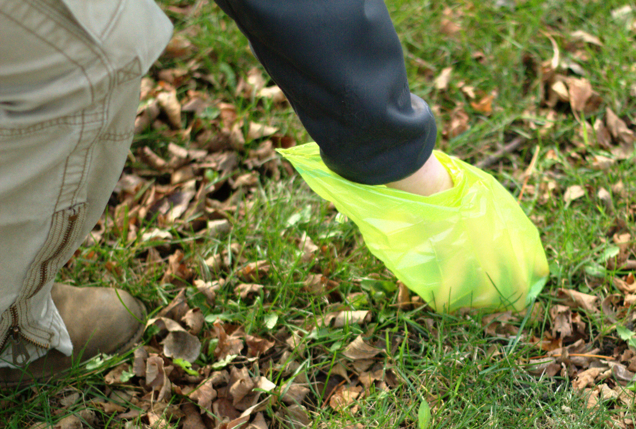 🌎💩 GreenLine Biodegradable Poop Bags - Single