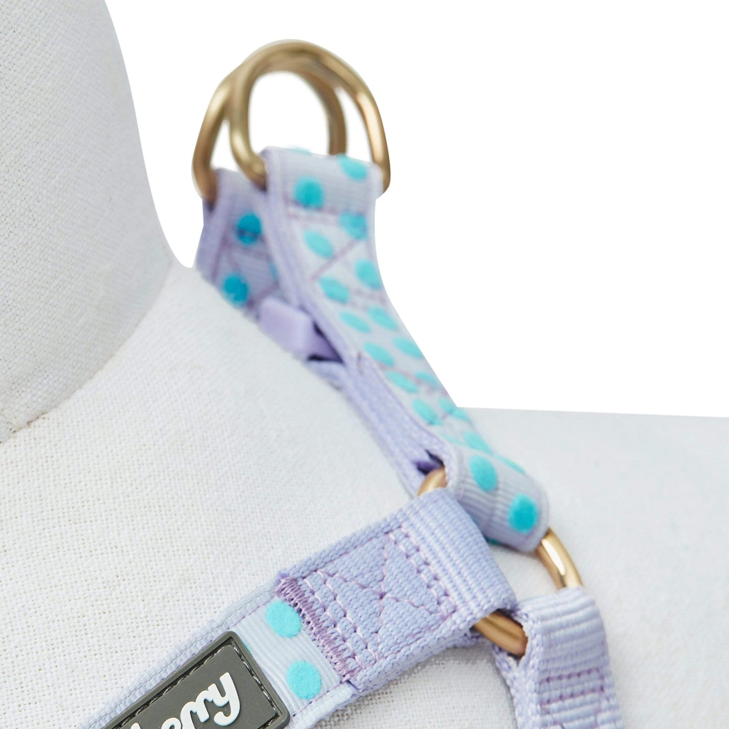🐾✨Velvety Polka Dot Flocking Dog Harness