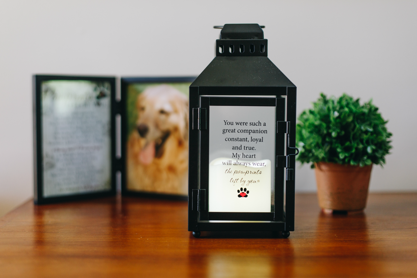 Pawprints Left By You Memorial Pet Loss Lantern