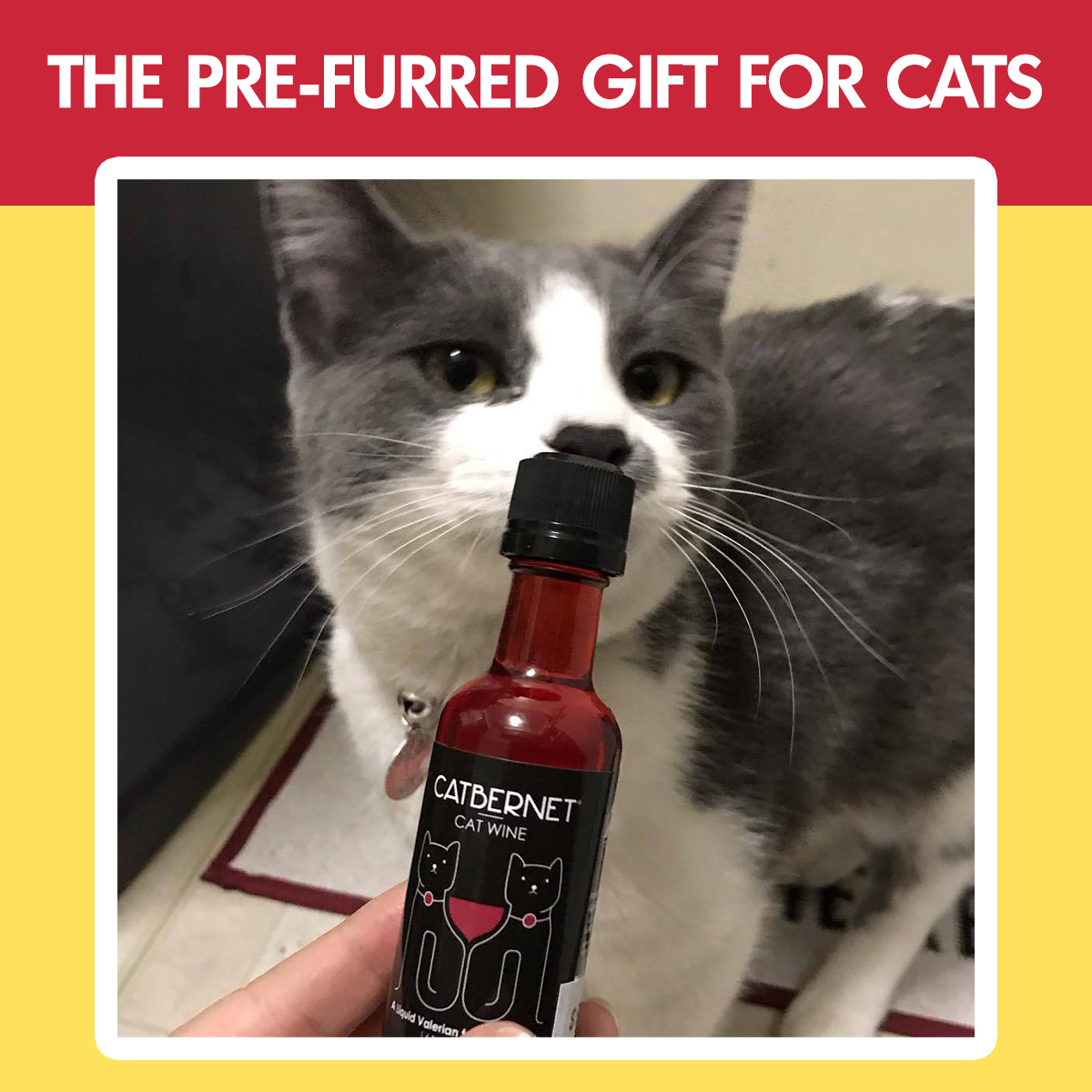 🍷🐱 Pawty Twin Pack Cat “White Wines” | MosCATo & White Kittendel Catnip Treat Set ✨