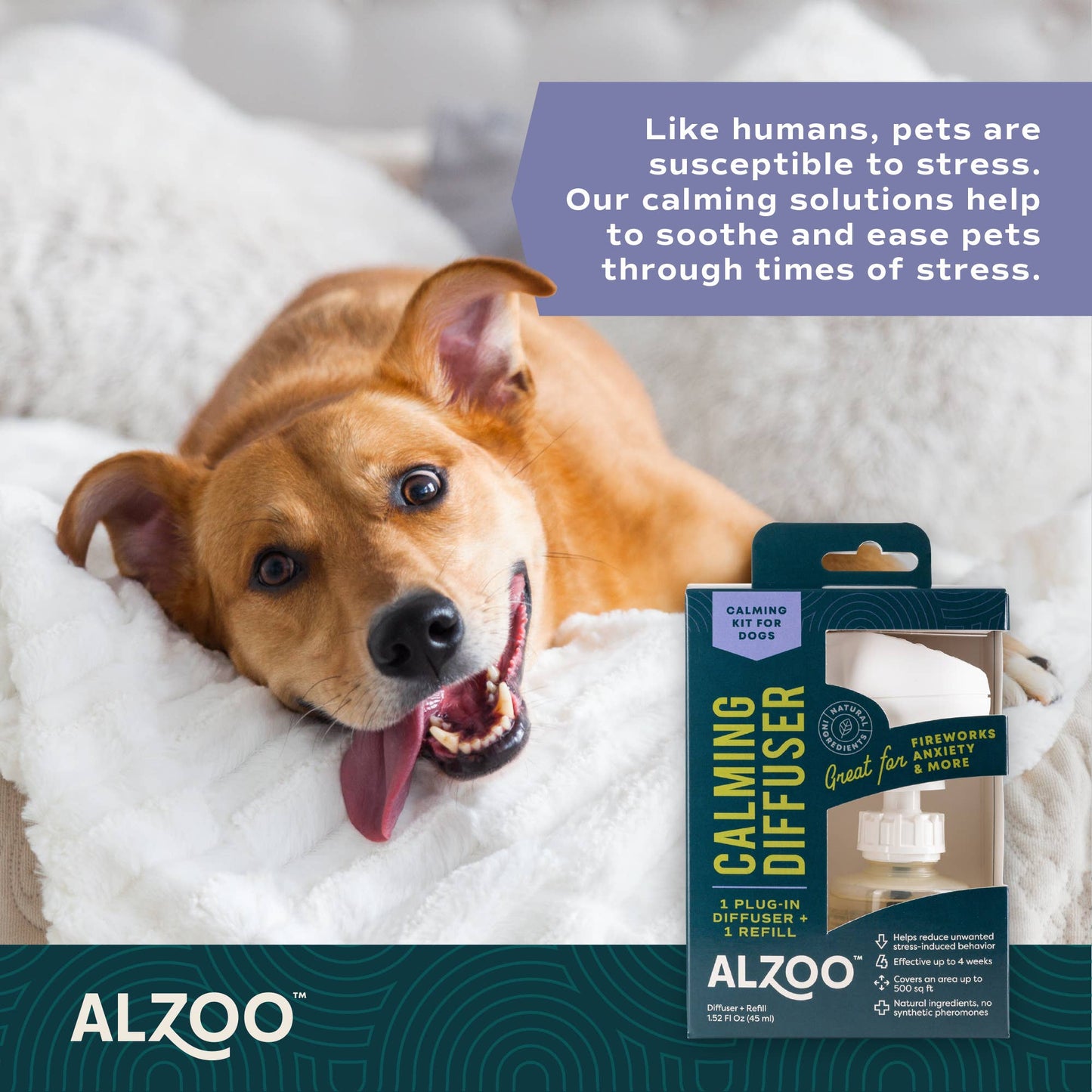 Plant-Base Calming Diffuser Plug-in Kit for Dog