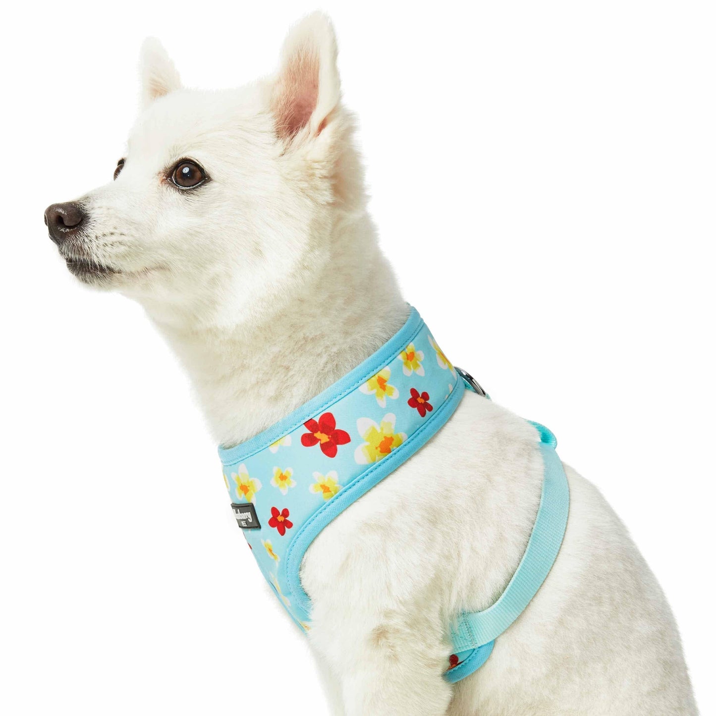 2 Colors, Tropical Yellow Plumeria Flower Dog Harness Vest