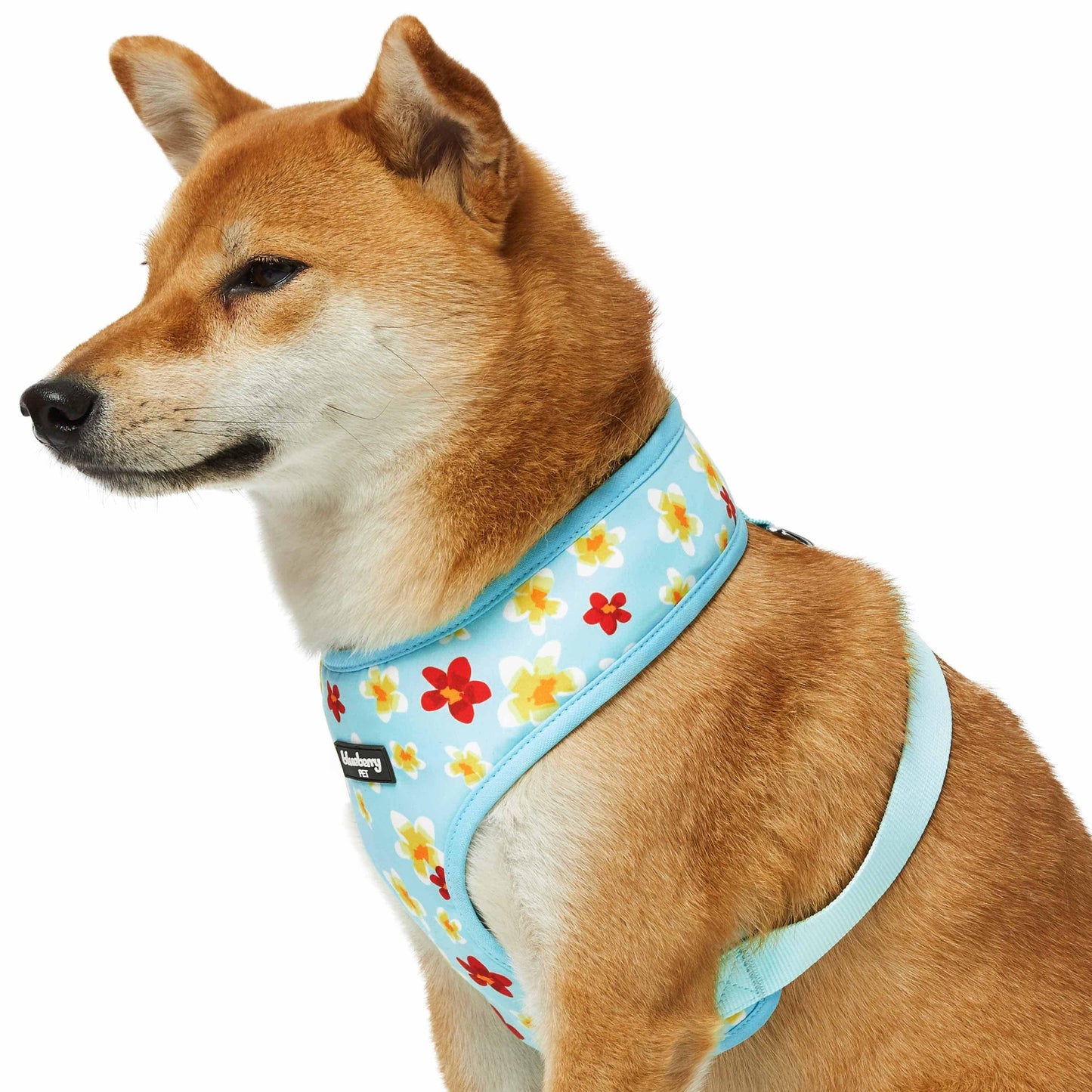 2 Colors, Tropical Yellow Plumeria Flower Dog Harness Vest