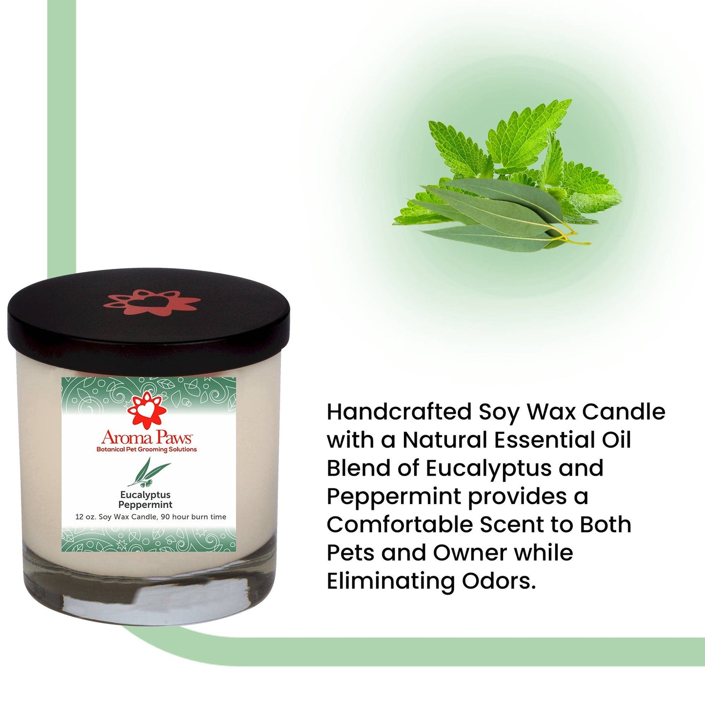 12 Oz Candle Eucalyptus Peppermint