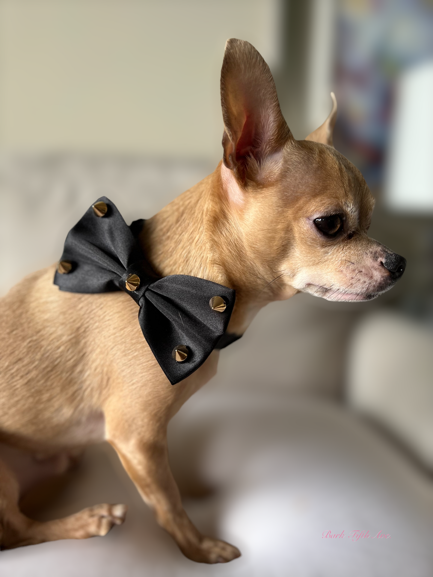 Dapper Satin Stud & Rhinestone Bowtie