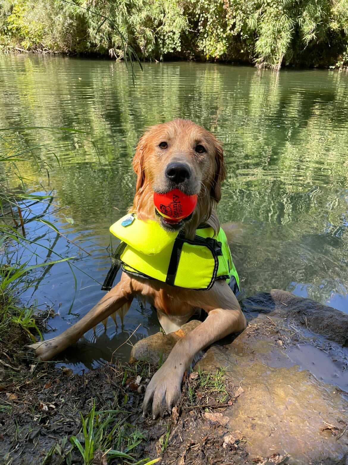 🌟 Fetch & Glow by Spunky Pup – Glow‑in‑the‑Dark Dog Ball