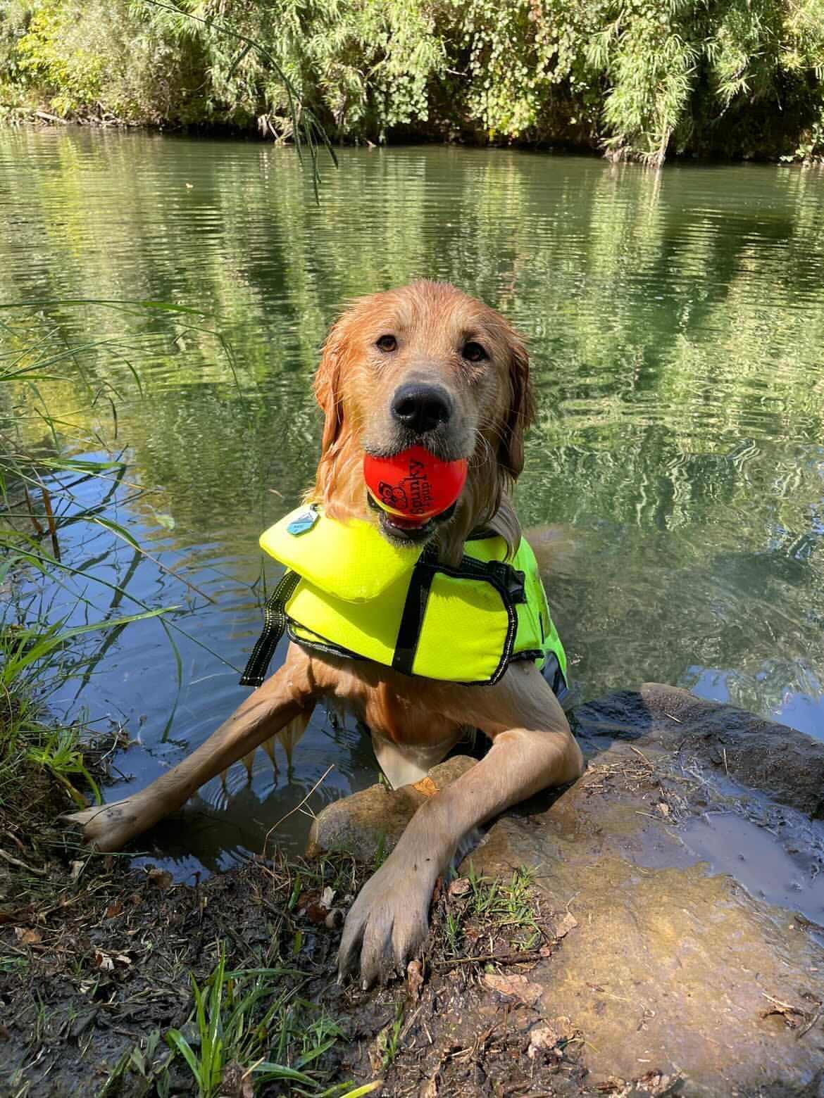 🌟 Fetch & Glow by Spunky Pup – Glow‑in‑the‑Dark Dog Ball