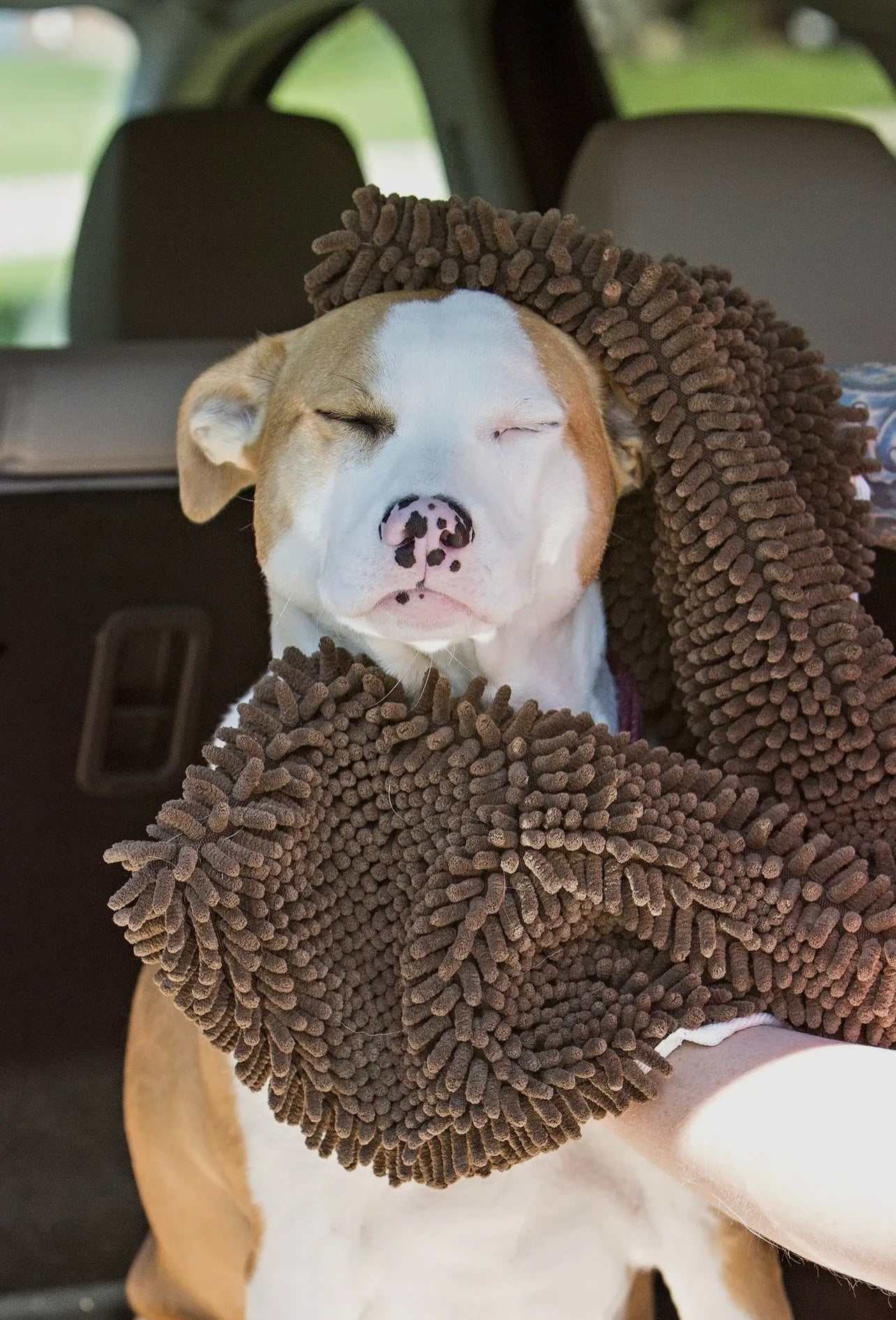 Soggy Doggy Super Shammy