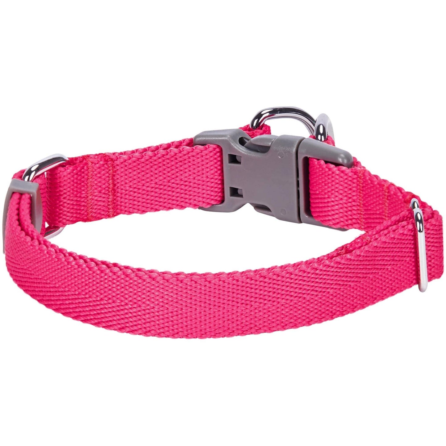 ✨ Dogs & Cats & Co. Double D-Ring Dog Collar 🐾