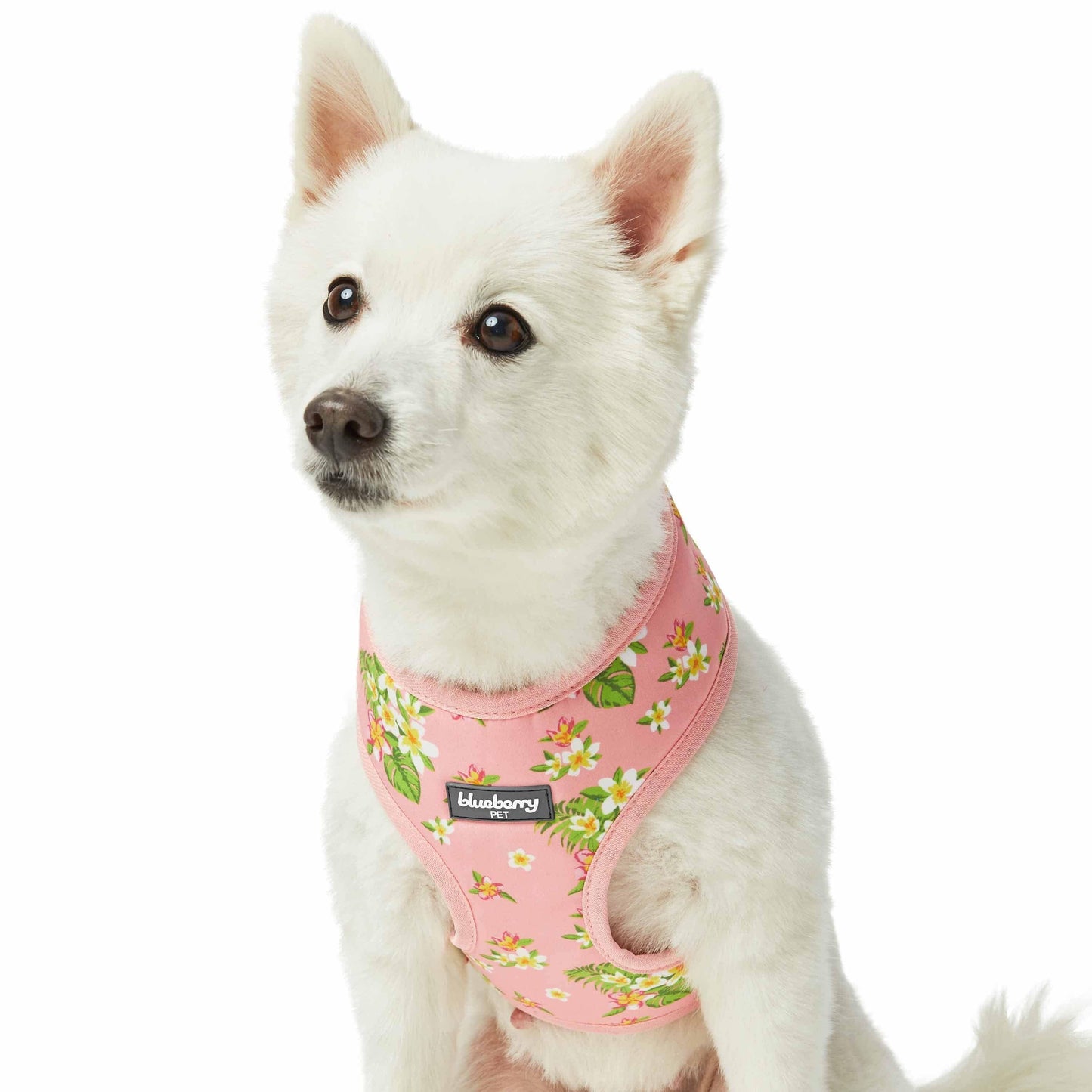 2 Colors, Tropical Yellow Plumeria Flower Dog Harness Vest