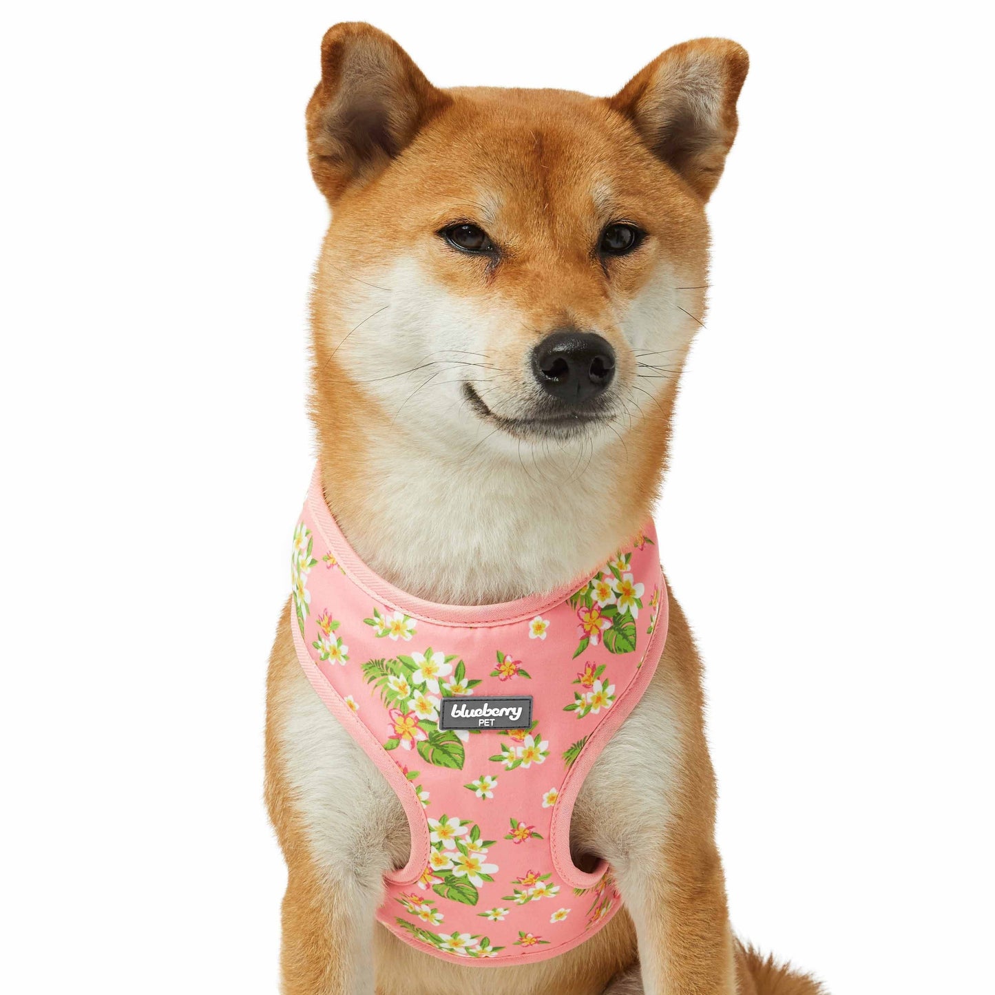 2 Colors, Tropical Yellow Plumeria Flower Dog Harness Vest