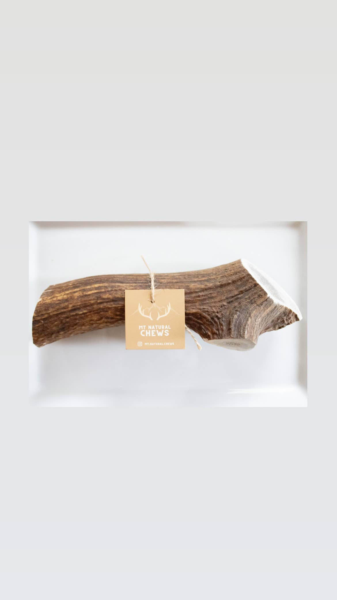 Elk Antler Chew-Various Sizes