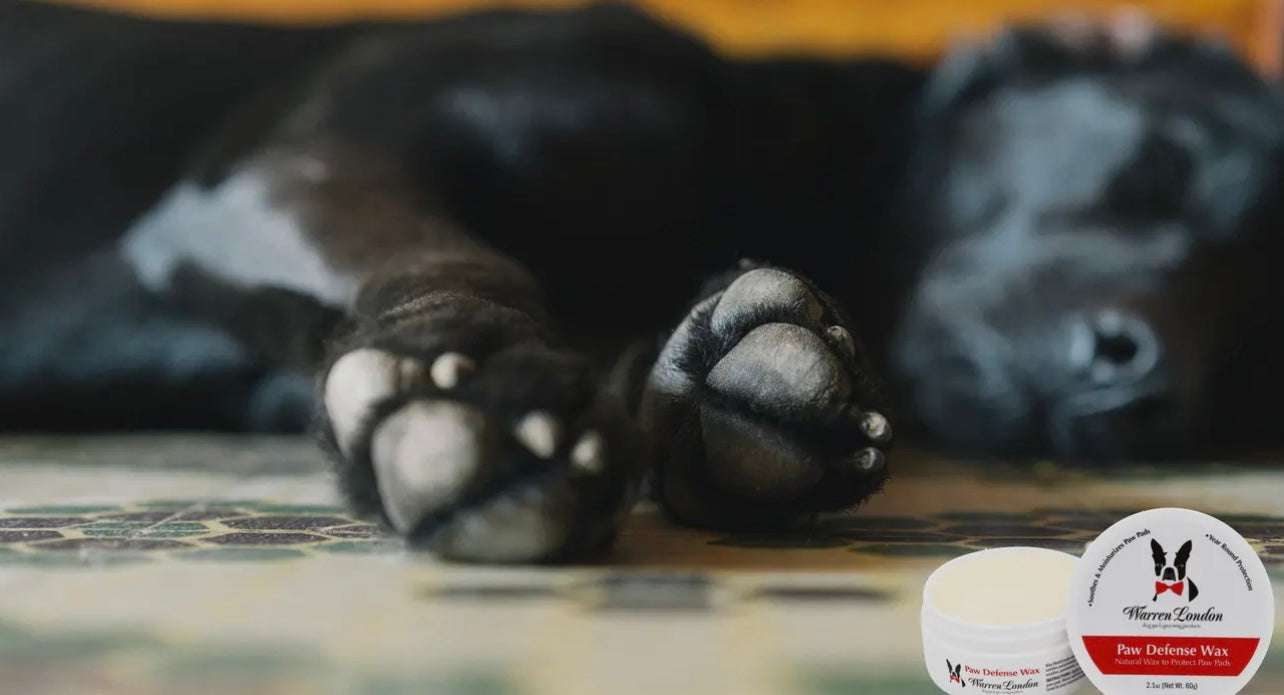 🐾 Warren London Paw Defense Wax (2 oz) | Protective Paw Balm for Dogs ❄️☀️
