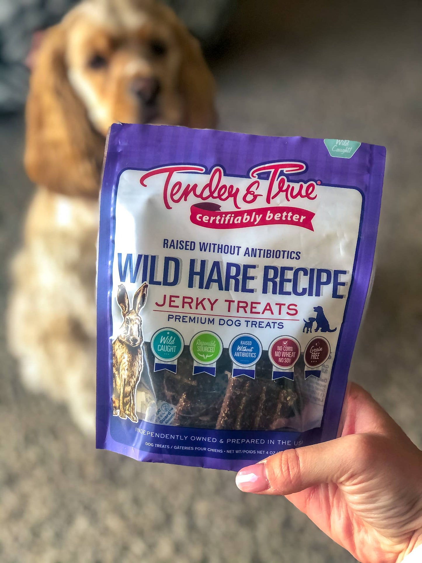 Wild Hare Recipe Jerky