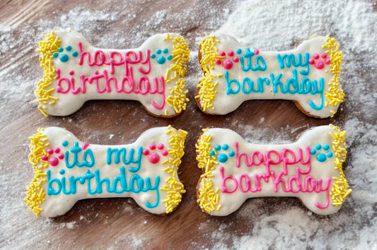 6 inch Vibrant Barkday bones dog treats