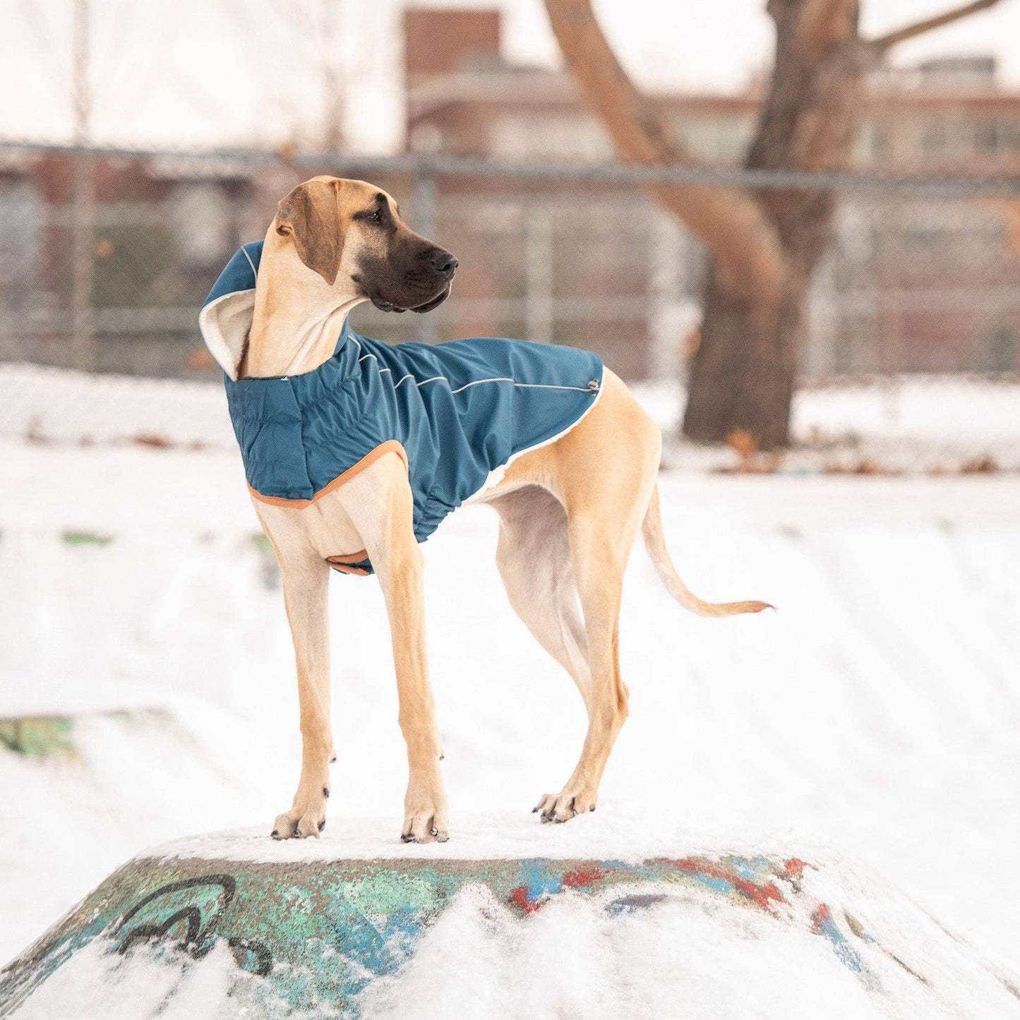 GF Pet Insulated Raincoat - Dark Blue
